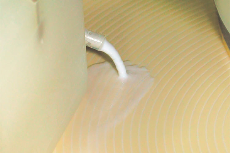 Ključ do učinkovitosti in optimizacije stroškov: analiza nadzora stabilnosti gnojevke CMP in izbirnih strategij