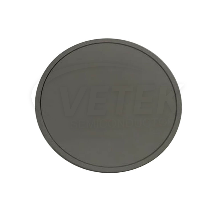 Sic prevlečen disk